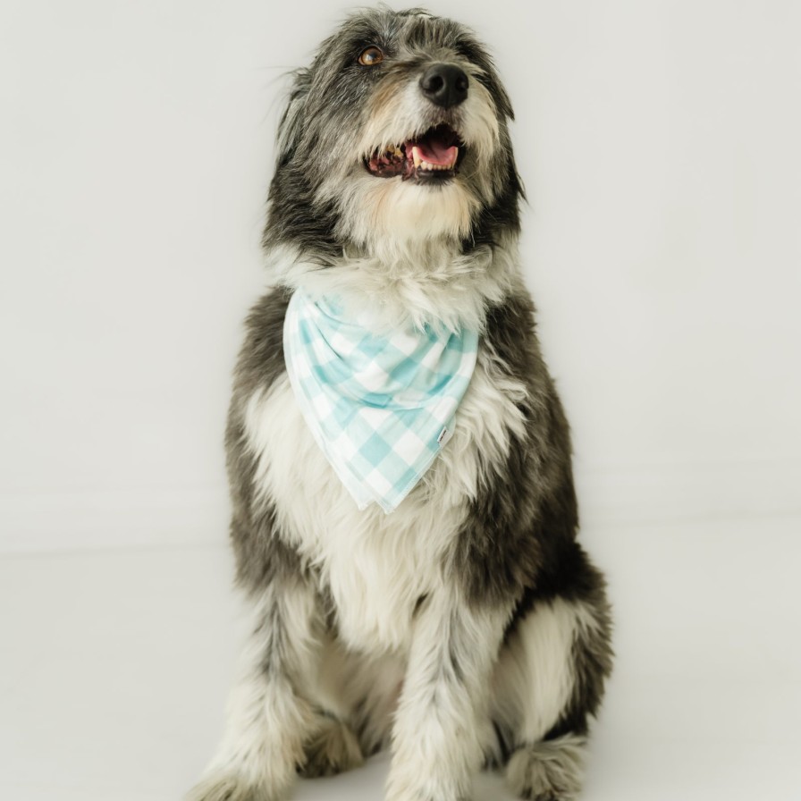 Adult Little Sleepies Sleepy Lifestyle | Aqua Gingham Pet Bandana Main Section