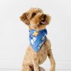 Adult Little Sleepies Sleepy Lifestyle | Dapper Dogs Pet Bandana Main Section