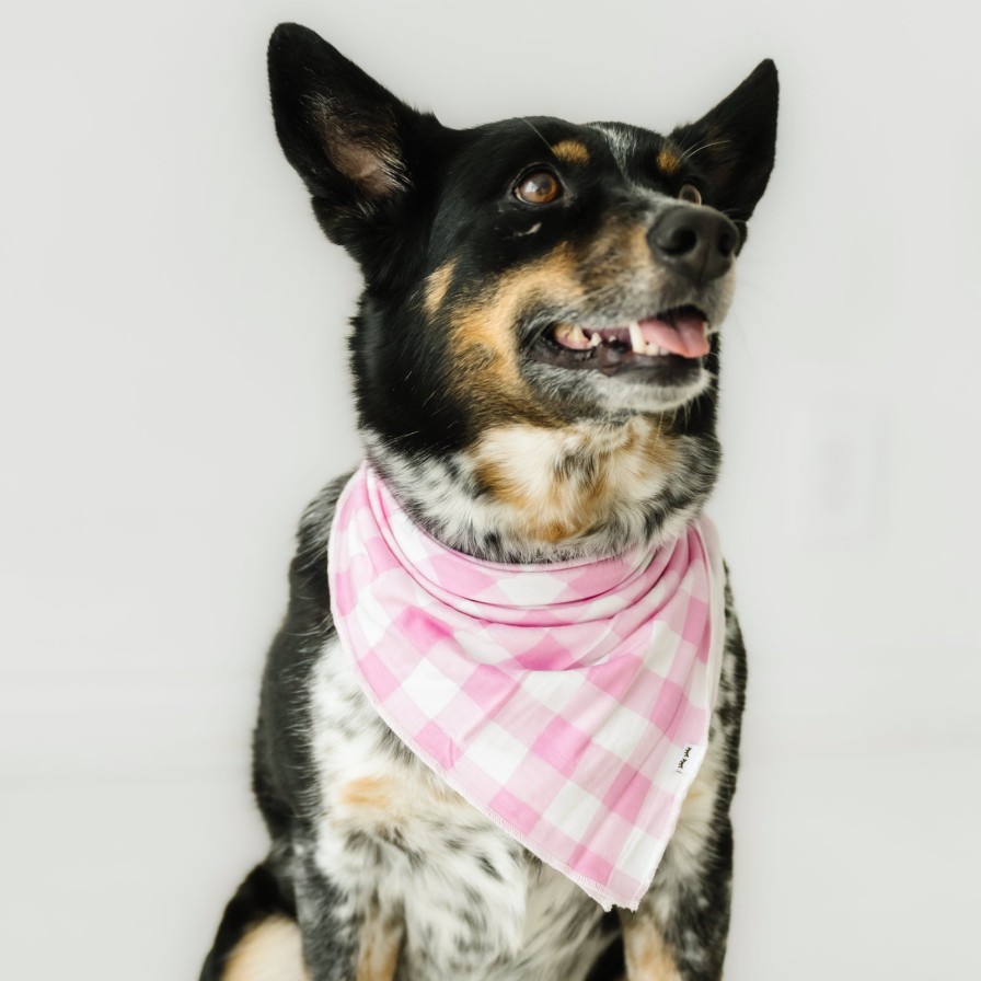 Adult Little Sleepies Sleepy Lifestyle | Pink Gingham Pet Bandana Main Section